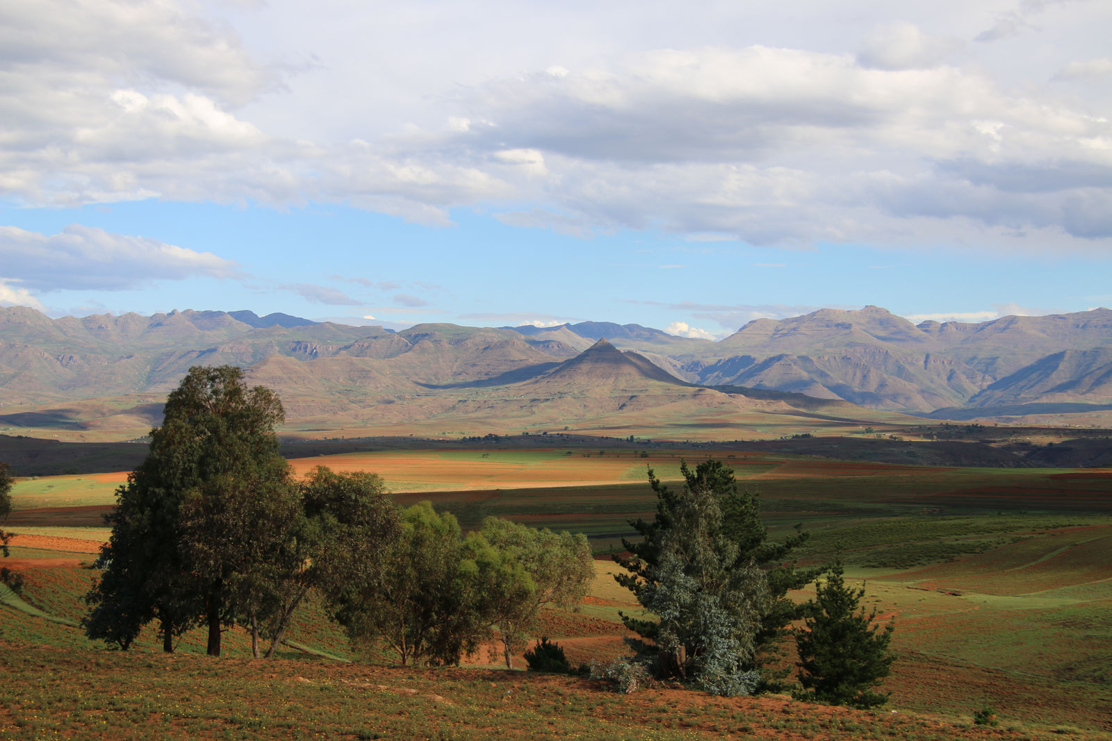 Malealea