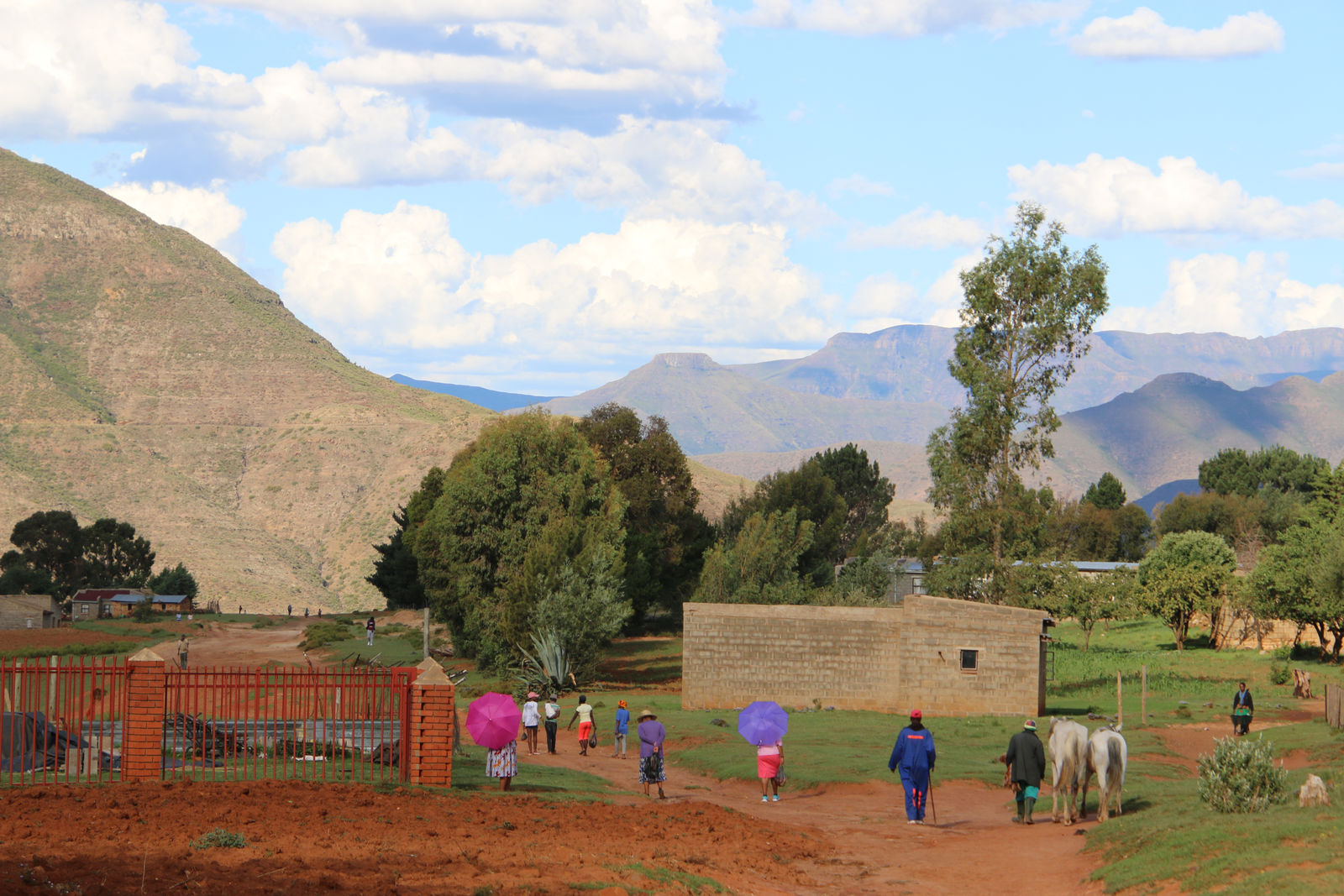 Malealea