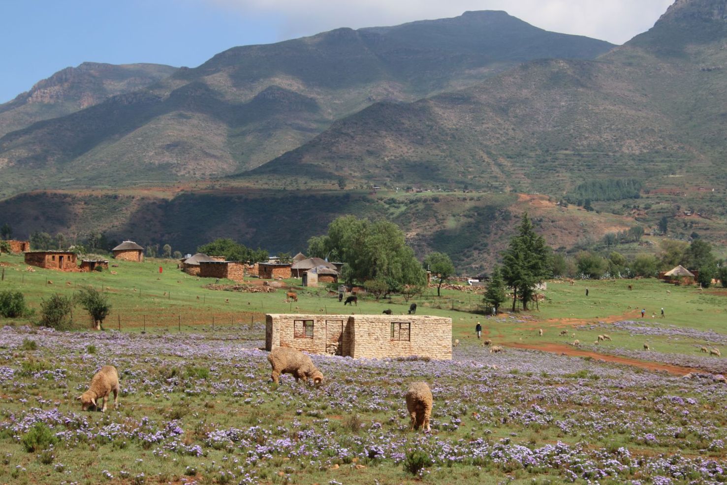 Malealea Lodge