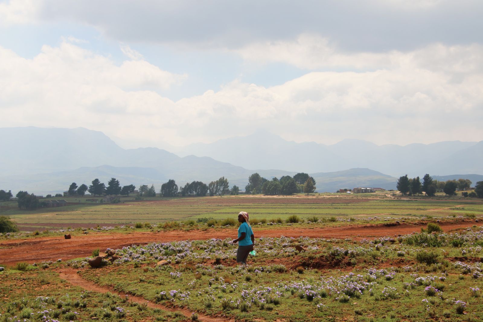 Malealea