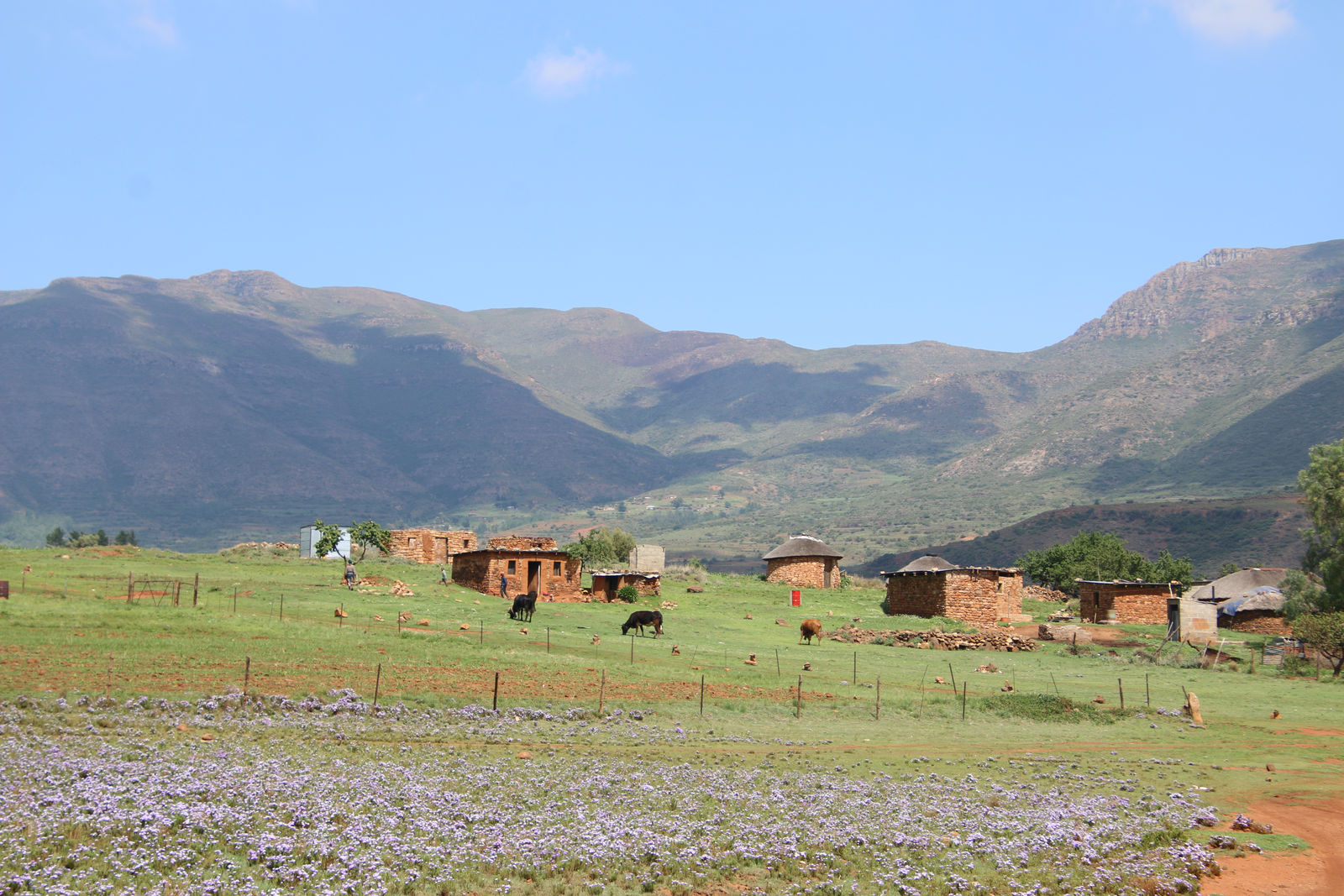 Malealea