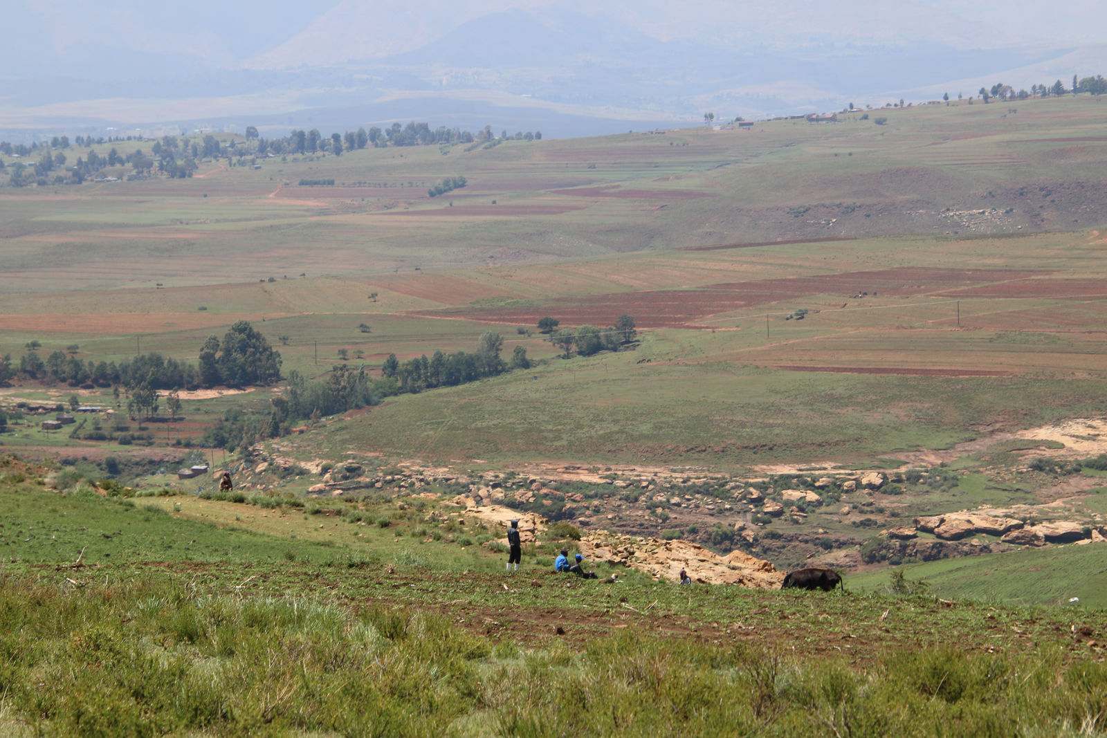 A Highland Valley Landscape