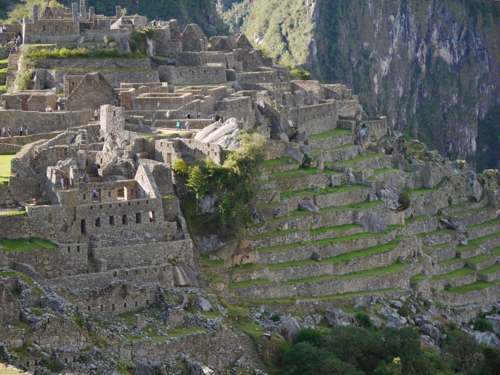 Agricultural Terraces
