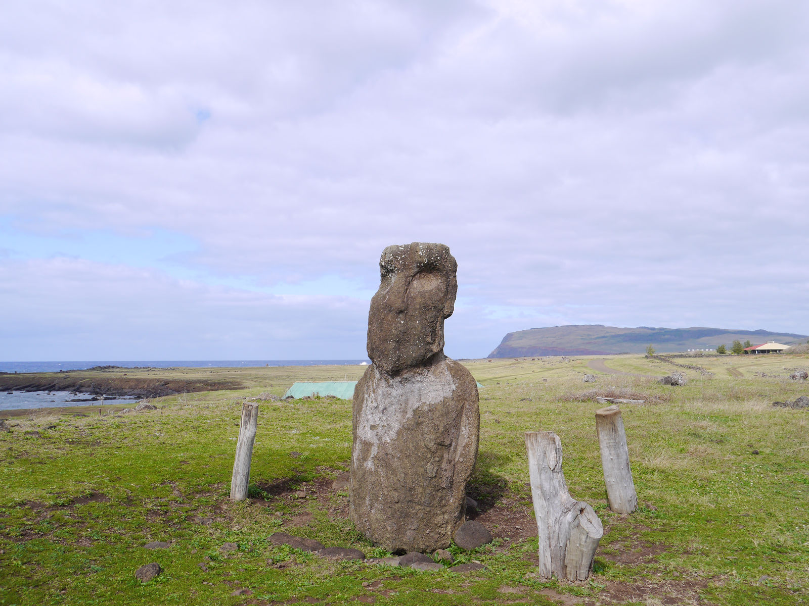 Moai statue