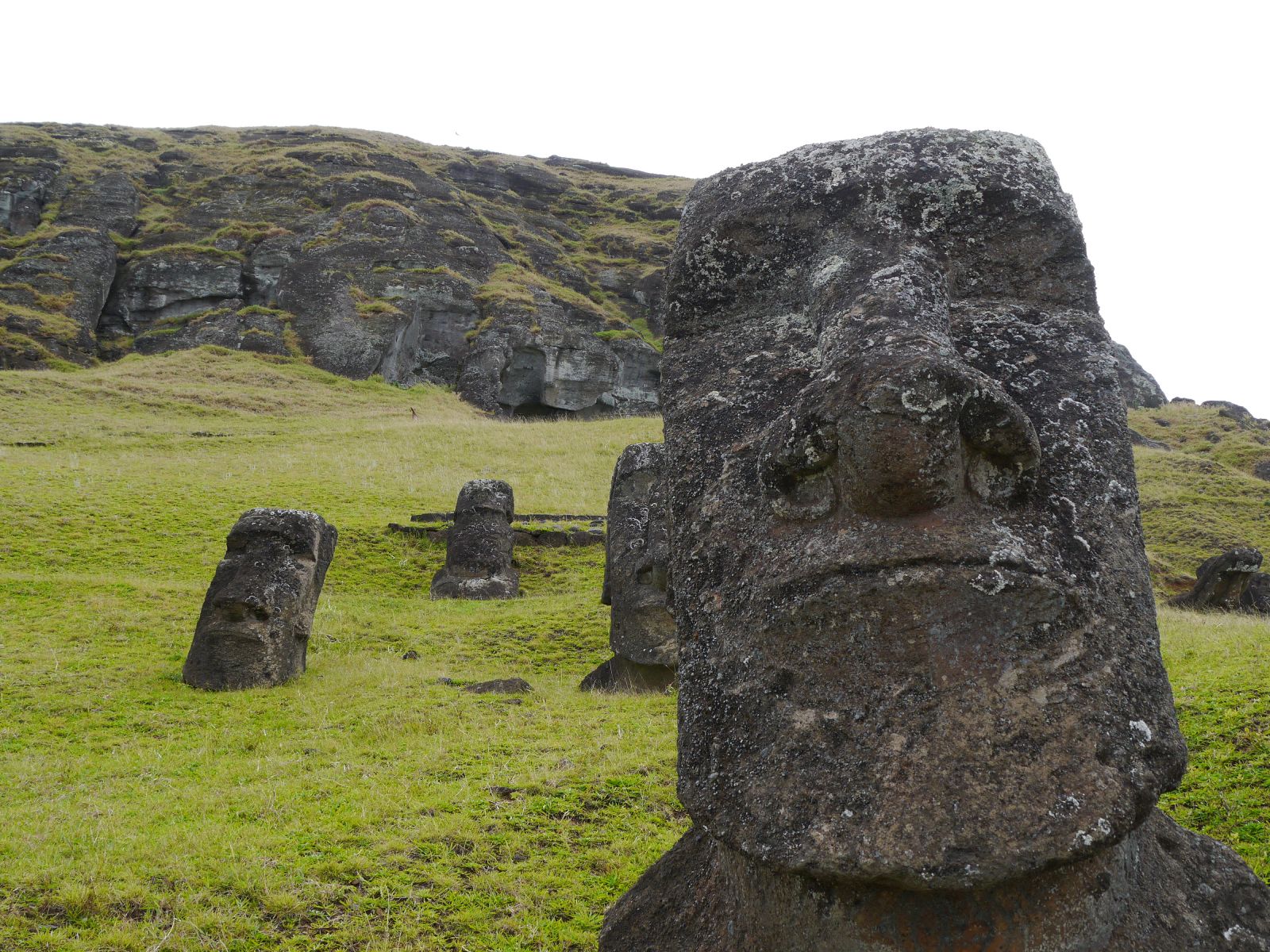 Moai statues