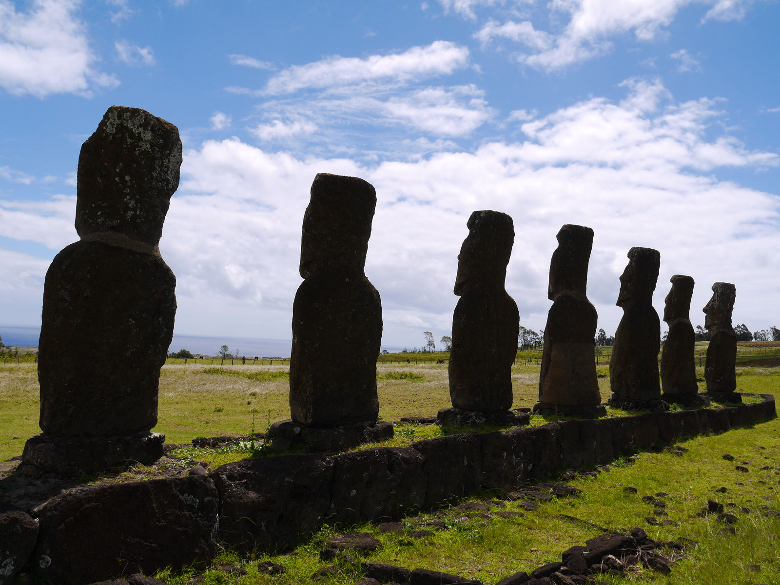 Moai statues